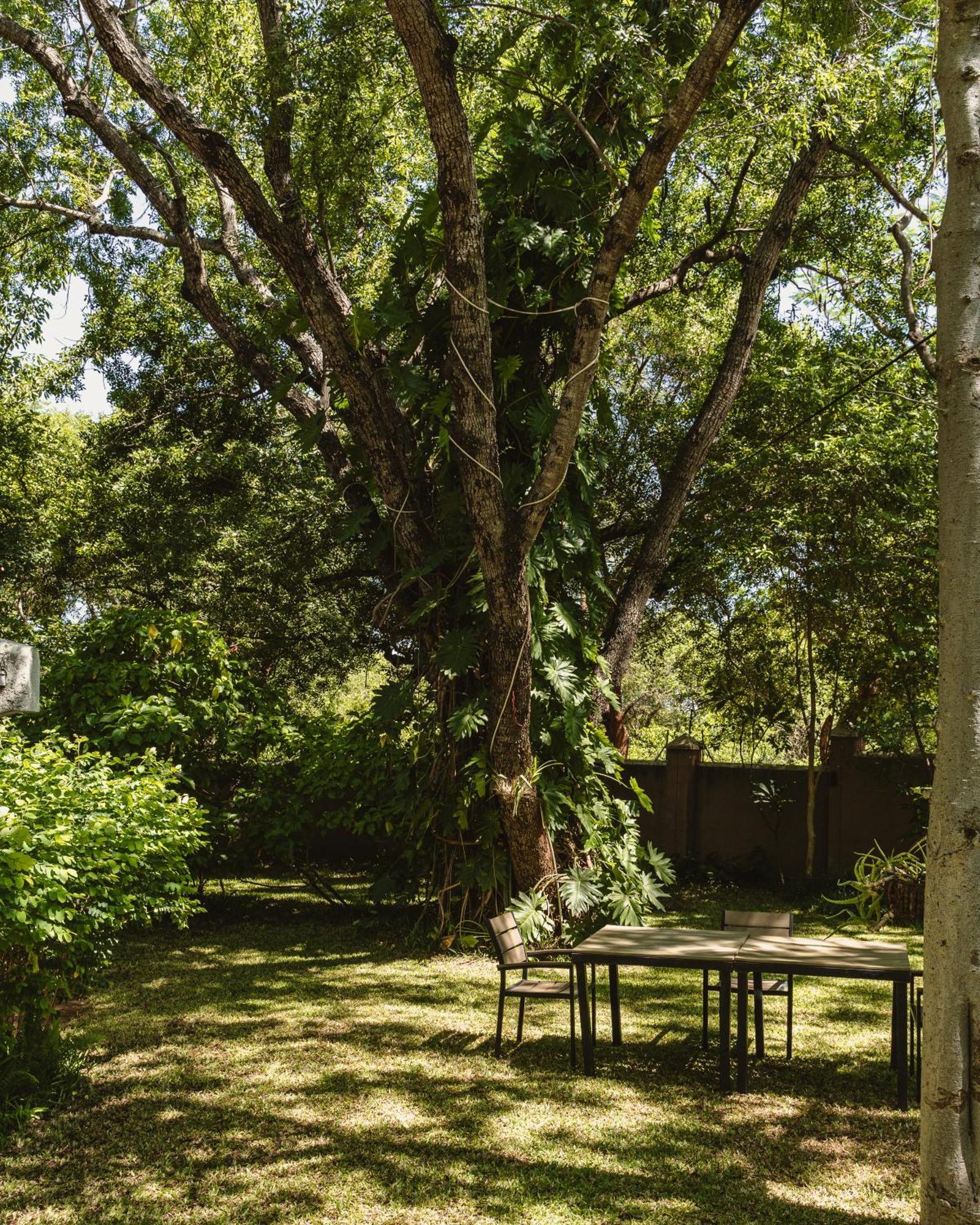 מפלי ויקטוריה Jacaranda Lodge מראה חיצוני תמונה