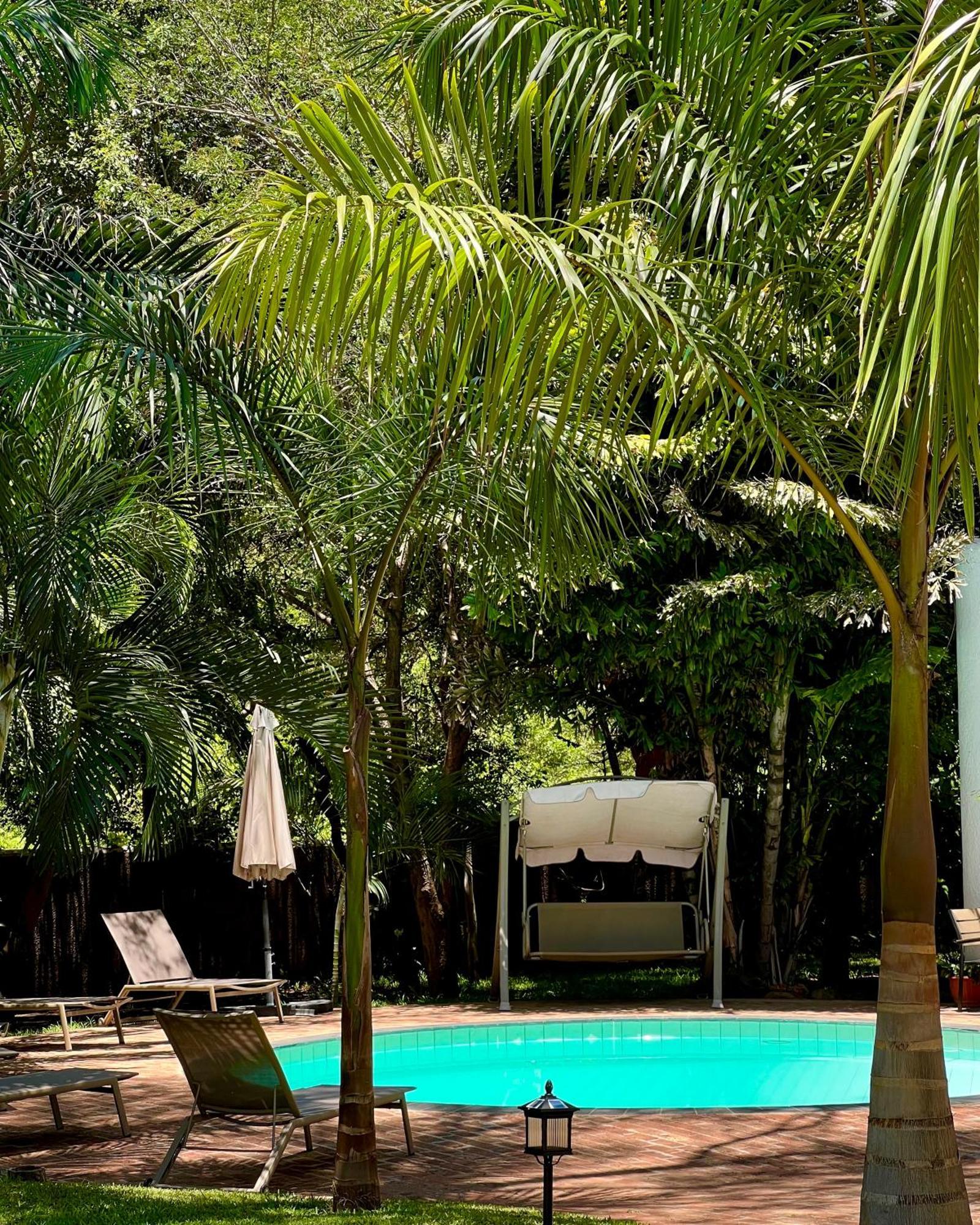 מפלי ויקטוריה Jacaranda Lodge מראה חיצוני תמונה